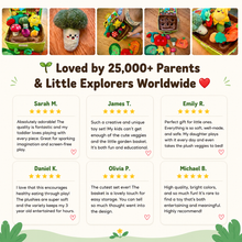 Load image into Gallery viewer, Plant&Play Garden™ - Fruits & Vegetables Garden Plushies