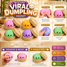 Load image into Gallery viewer, Original Mystery Viral Dumpling Squishy™️
